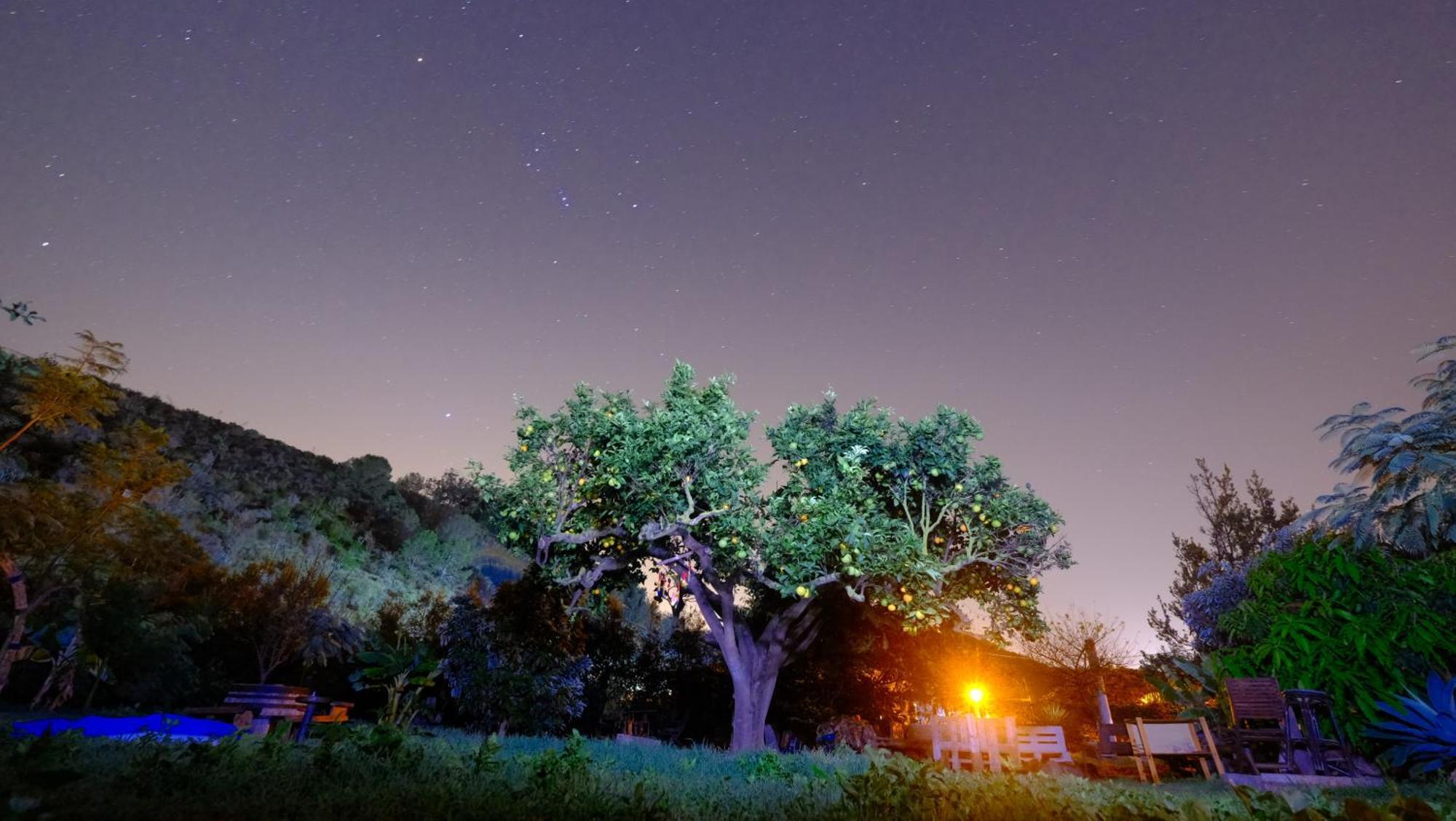 Vuelve Al Origen - Nomadas Digitales Tegueste Bagian luar foto