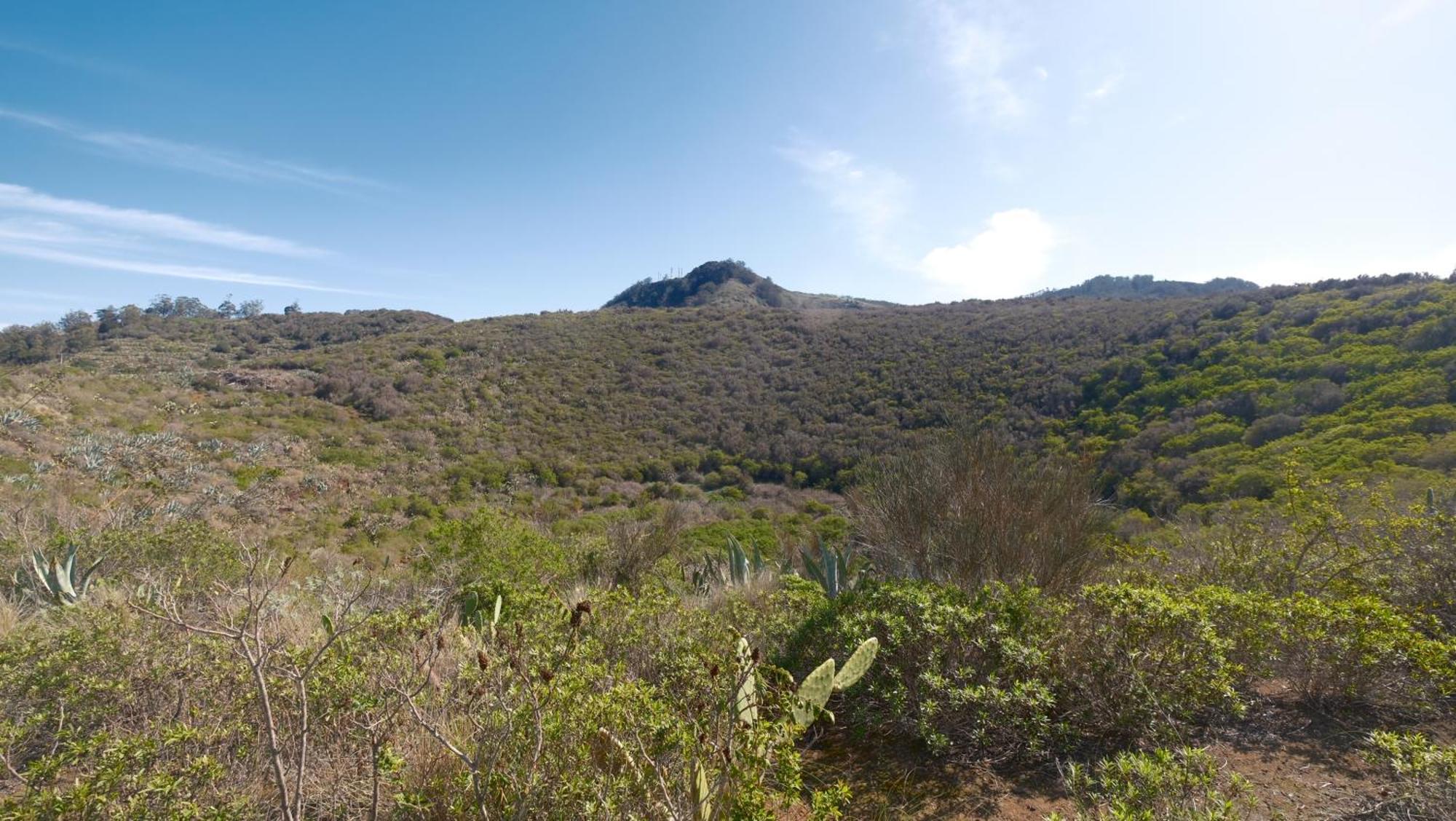 Vuelve Al Origen - Nomadas Digitales Tegueste Bagian luar foto